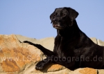 03 Sina on the Rock